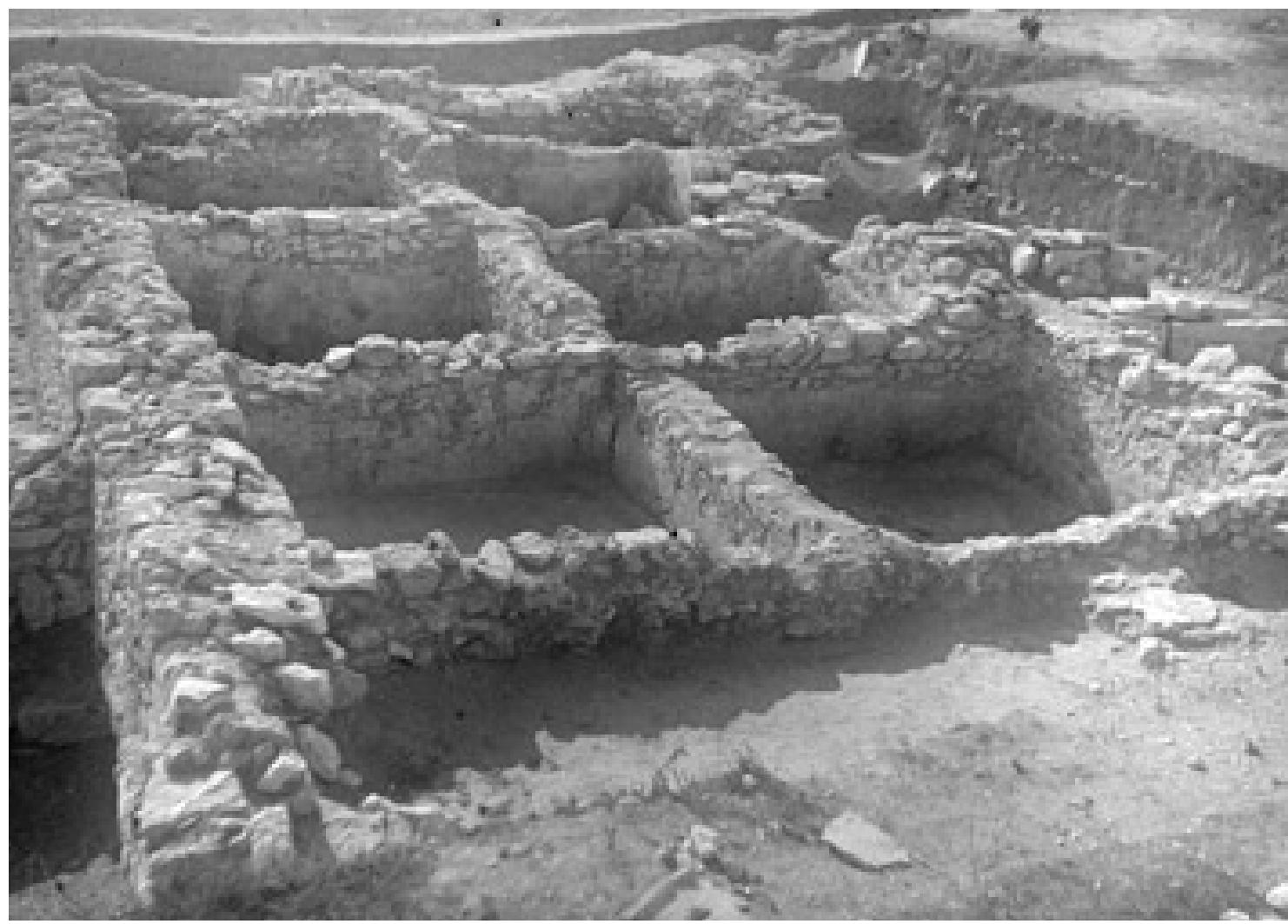 Fig. 11. Salting unit in Myrmekion with a capacity of 116 m°> (courtesy of the Photo Archives of IMK RAN).  shed further light on the production process. The large flat limestone slabs recovered may have been used to press down the fish into the salt solution (Fig. 12). A slightly conical ceramic vessel interpreted as a sieve for extract- ing the fish from the brine in the vats, or possibly used in the production of garum, was also recovered in one of the pithoi (Fig. 13).°! To my mind, how- ever, the holes in the side of the vessel are just ordinary repair holes rather than holes for drainage or for attaching a rope. What purpose this unusual vessel served remains unclear. Only a relatively small area of the town has been excavated, so it is quite possible that further excavation would reveal more installations. 