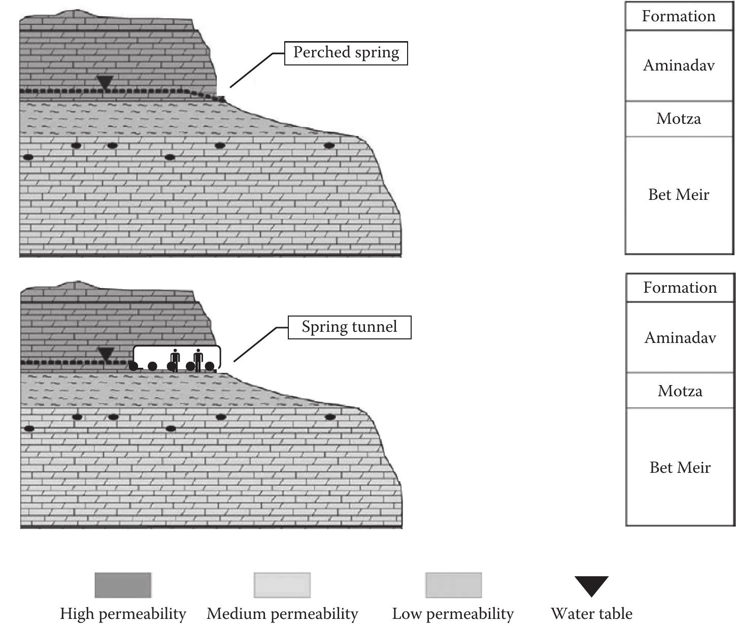 FIGURE 10.6 Perched spring and spring tunnel. (Based on Peleg, N. and Gvirtzman, H. Journal of Hydrology 388, 13-27, 2010, figure 3. With Permission.) 