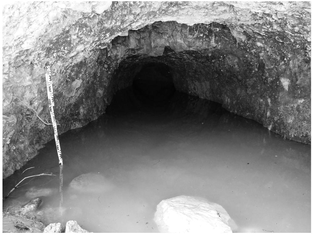 FIGURE 10.8 El-Balad spring. A hewn spring tunnel, 4 m wide. (Photography by Yechezkel.) 