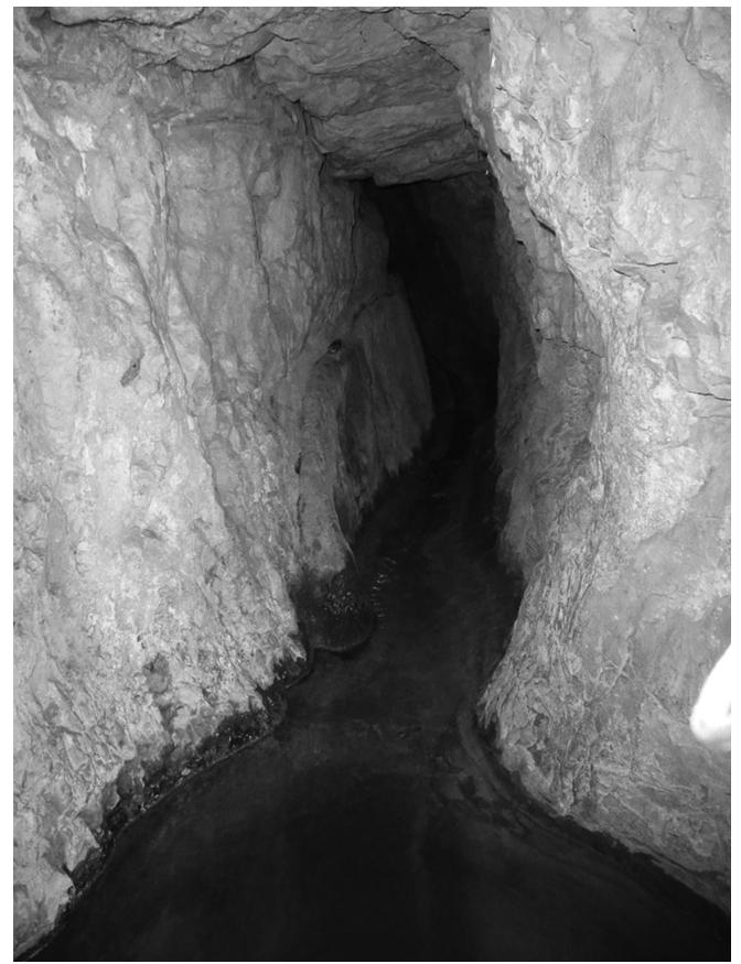 FIGURE 10.9 El-Habis spring. A hewn spring tunnel roofed with stone slabs. (Photography by Yechezkel.) 