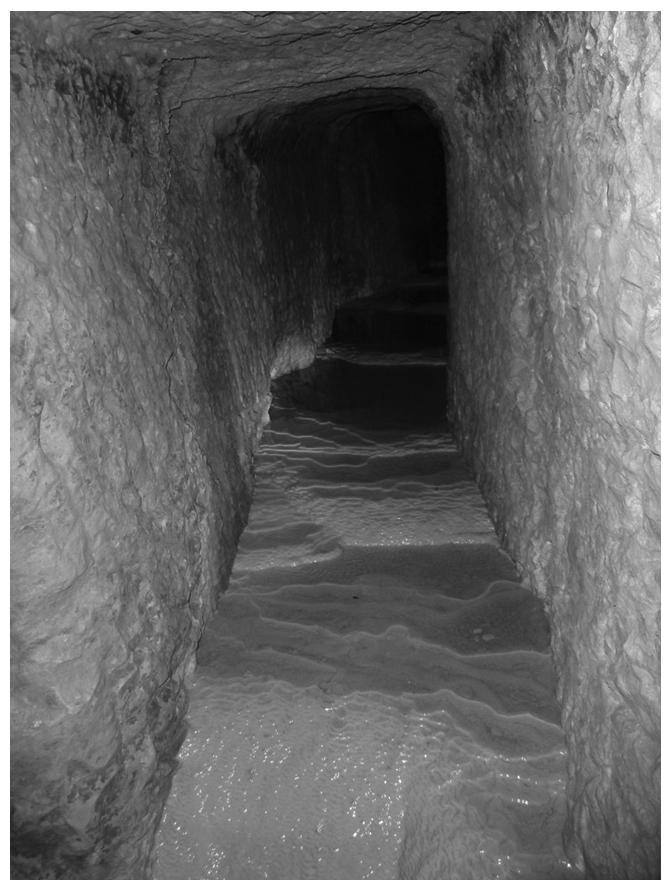 FIGURE 10.13 Joweizeh spring. Ceiling was cut in a square style. Notice the flowstone layers at the floor. (Photography by Yechezkel. With Permission.) 