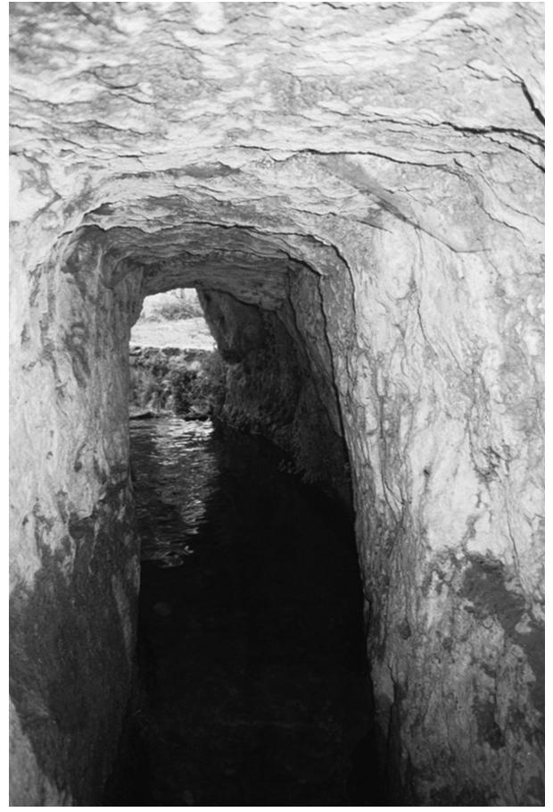 FIGURE 10.17 Nebi Samuel spring tunnel. Ceiling was cut in a square style. (Photography by Yechezkel.)  Although this site is slightly beyond the natural boundaries of Jerusalem hills, north in the Benjamin hills, its geological-geomorphological properties and historical—archeological context are similar to the springs described above. 