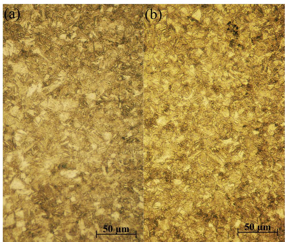The microstructure of fusion zone with expulsion (a) and