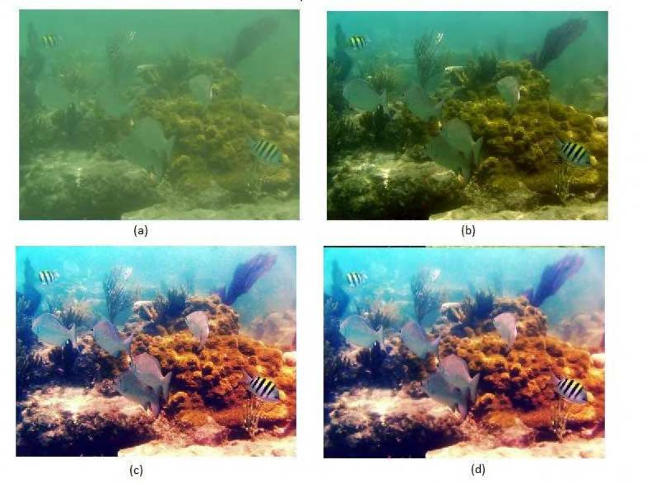 (PDF) Underwater Image Enhancement with Dark Channel Prior Based Image ...