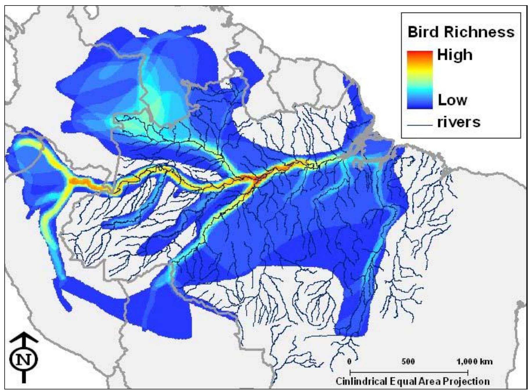 Figure 3 Richness of riverine species in Amazonia.  non-tiverine species. 