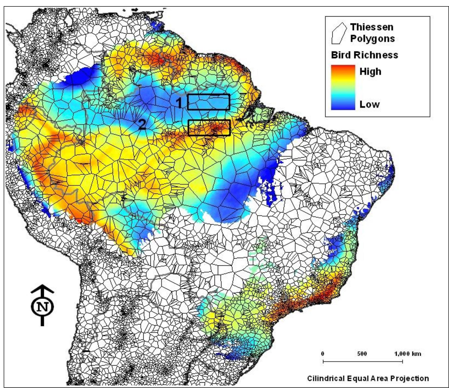 Figure 4 Thiessen network of bird collection localities in Amazonia. 