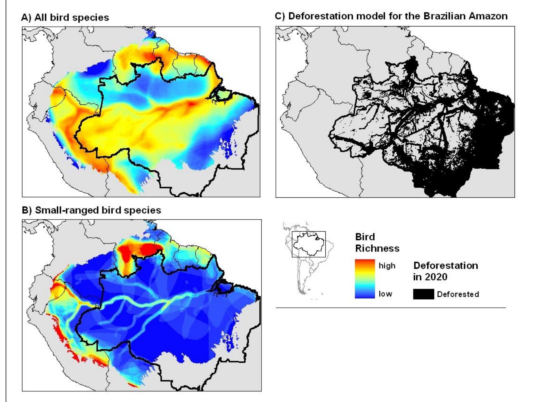 Figure 7 Bird richness and deforestation in Amazonia. 