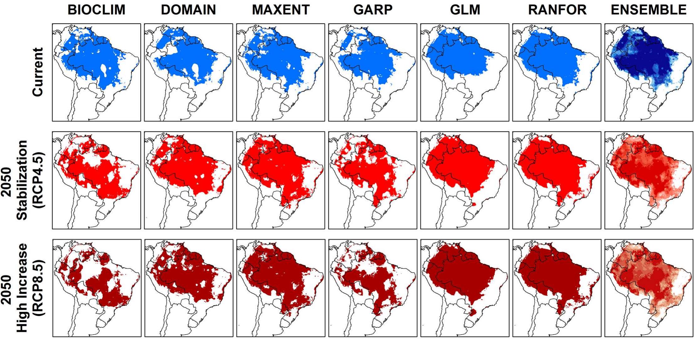 ‘ig 4. Current and future climate suitability for Lutzomyia flaviscutellata from six modelling algorithms and ensemble maps
 Projections under climate change conditions showed quite different results for each of the
17 GCMs, although there was more variation between different ENM algorithms than between
different GCMs (S6, S7, S8 and S9 Figs). When combined, however, most algorithms predicted
an expansion of the total area of climate suitability of L. flaviscutellata (Fig 4). All models agree
that the species should find improving climate conditions towards the southern limits of its dis-
tribution, especially in the “high increase” scenario (RCP 8.5).
