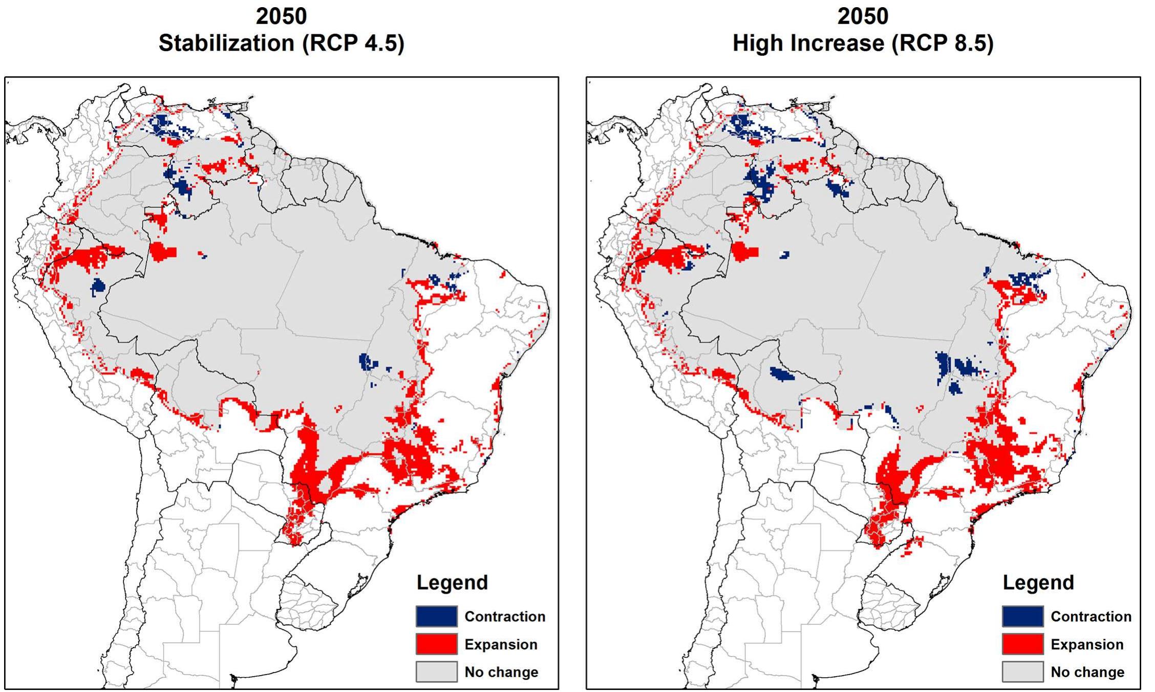 Fig 5. Consensus maps of predicted future climate suitability of Lutzomyia flaviscutellata. Left: Stabilization climate scenario (RCP4.5); right: High
increase climate scenario (RCP8.5). Future expansion areas (red), future contraction (blue) and no change between current and future climate suitability

(grey).
