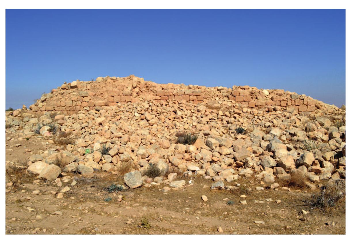 Fig. 1a. Qasr ed-Deir — view from east (photo by P Kotodziejczyk) 