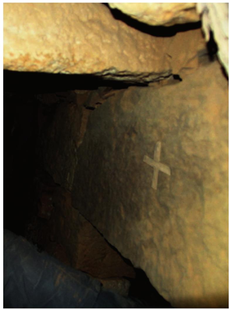 Fig. 9. Lintel decorated with a cross, possibly of Byzantine origins (photo by P Nocun) 