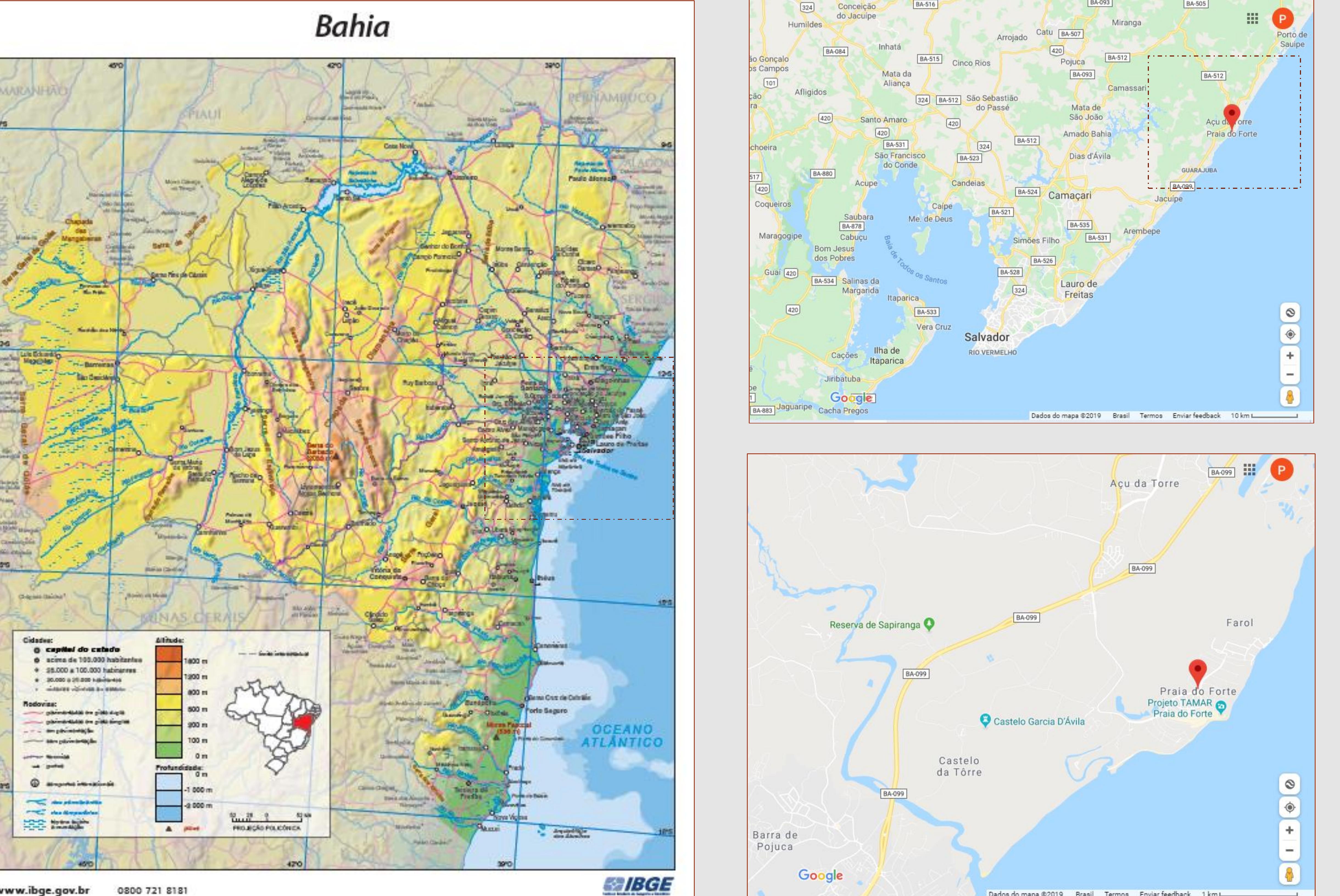 The aim of this poster is to discuss about the graffiti of boats and ships engraved and drawn in the chapel of th ‘astle of Garcia D'Avila, in Praia do Forte, State of Bahia, Brazil. he Casa da Torre (Tower House), as it is also called the Castle, was built in the XVI** century and served as headquarter or one of the most powerful families in colonial Bahia.  It is believed that the graffiti on the walls of the chapel are either an attempt to watch the nautical traffic or som ind manifestation of religious nature (e.g. ex-voto).  In relation to the techniques of elaboration and thematic of the graffiti, there are two types: the graffiti tha epresent more robust and older vessels were elaborated by incision (engraved). The possibly most recent graffiti, on th  thar hand sora drawn with charrcnrl and cnrracnnndgd ta cmallar Anatc and wrhala hitnting cranac 