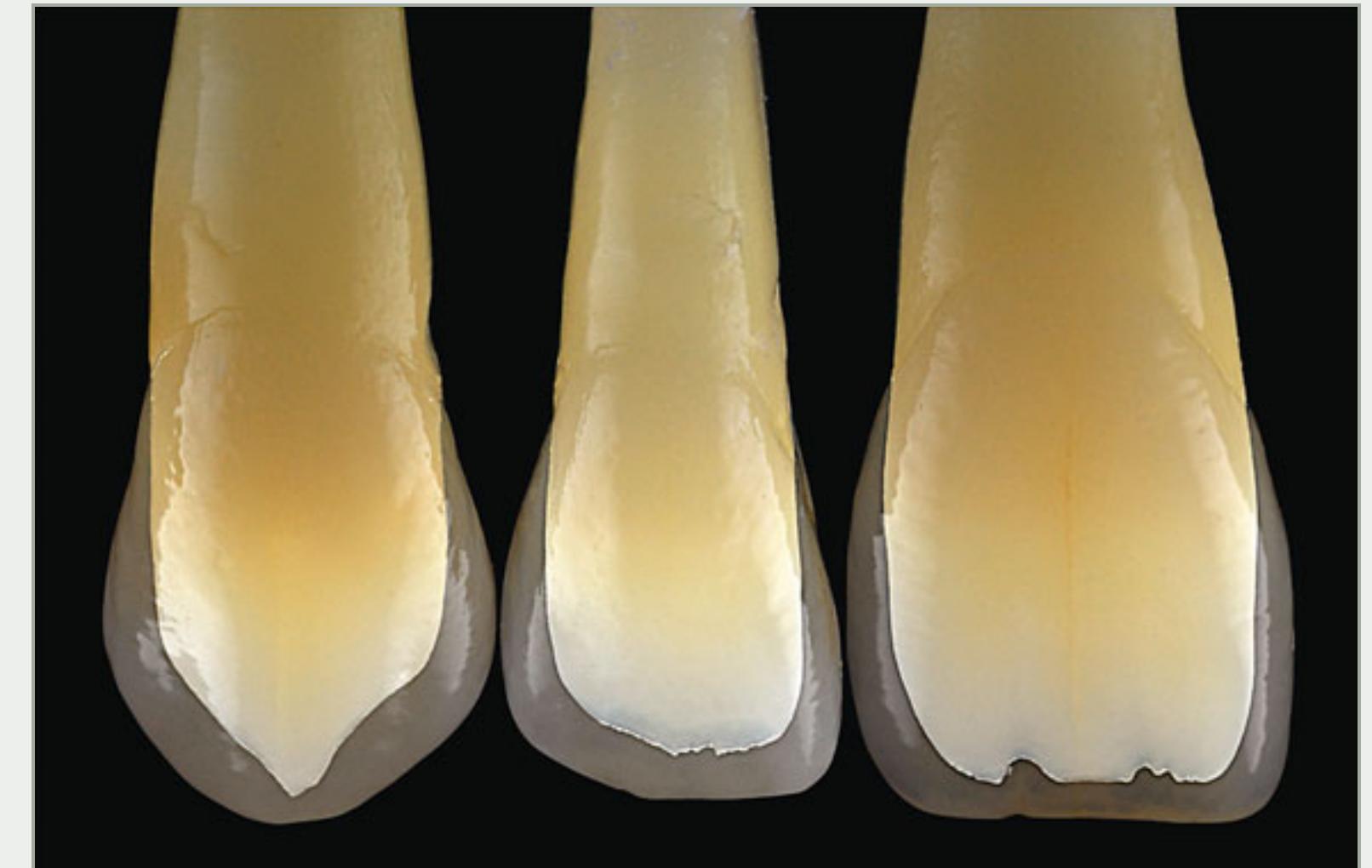 Figure 2 - from Bio-Emulation: biomimetically emulating