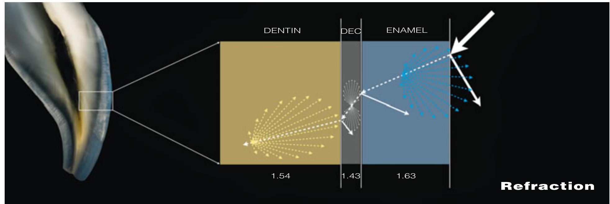 Figure 6 - from Bio-Emulation: biomimetically emulating