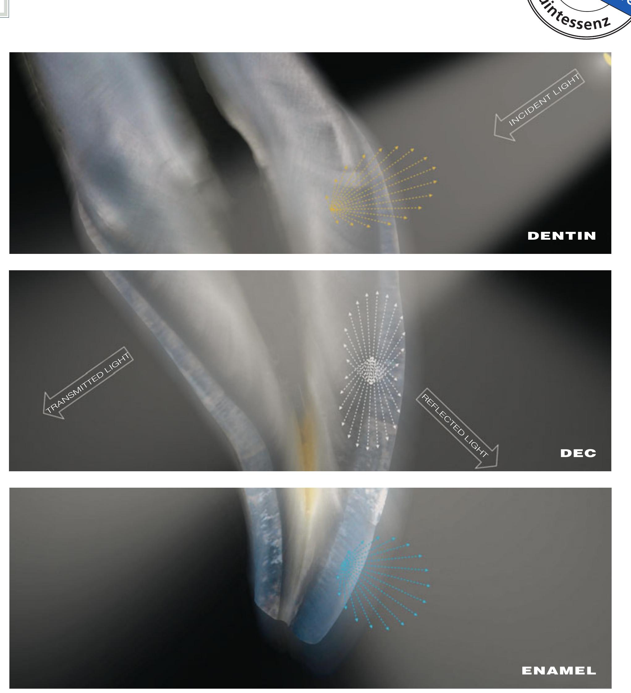 Figure 7 - from Bio-Emulation: biomimetically emulating