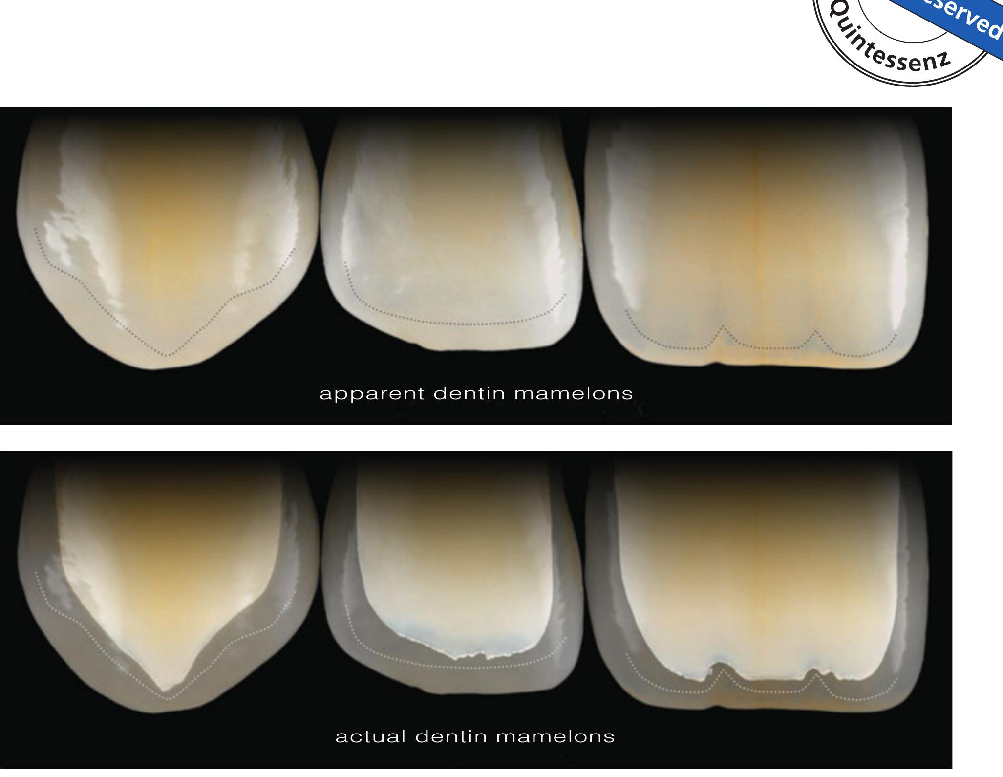 Figure 17 - from Bio-Emulation: biomimetically emulating