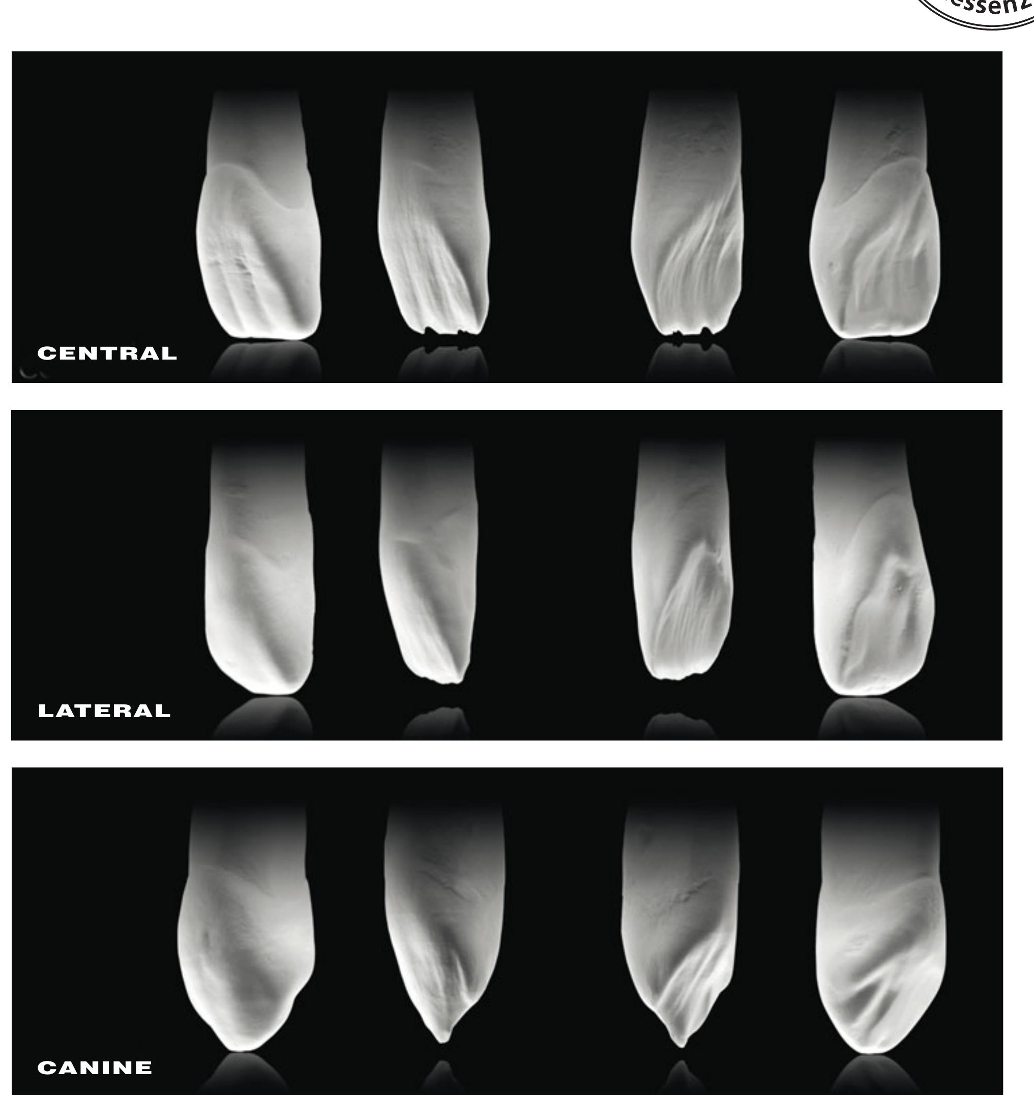 Figure 20 - from Bio-Emulation: biomimetically emulating