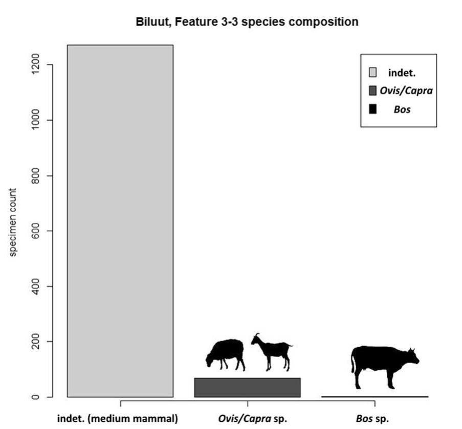 Figure 4. Species composition of calcined bone fragments from Biluut, Peat Valley 1 (non-faunal data originally reported in Fitzhugh and Kortum 2012), based on new morphological identifications by T. Tuvshinjargal. The assemblage was unanalyzed in the initial report, and ZooMS/aDNA efforts yielded no collagen or DNA for biomolecular identifications. 