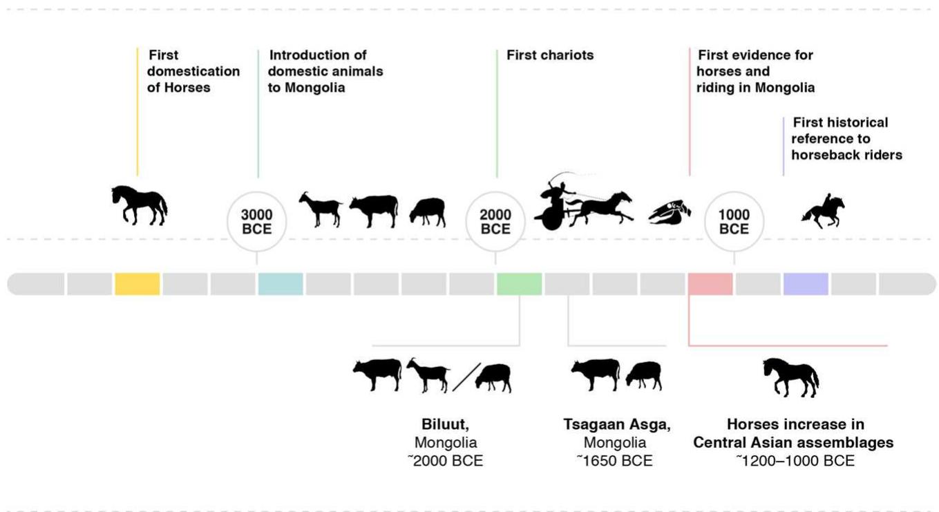 Figure 10. Timeline for horse domestication and key events related to early pastoralism in Mongolia and surrounding regions. 