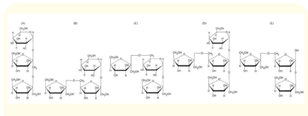 The diagram below illustrates the different types of fructan