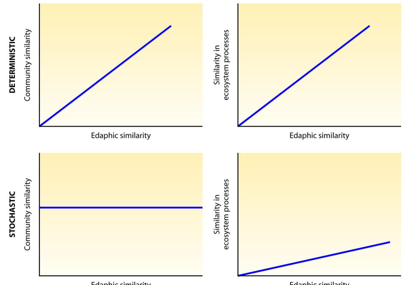 (PDF) Patterns and Processes of Microbial Community Assembly
