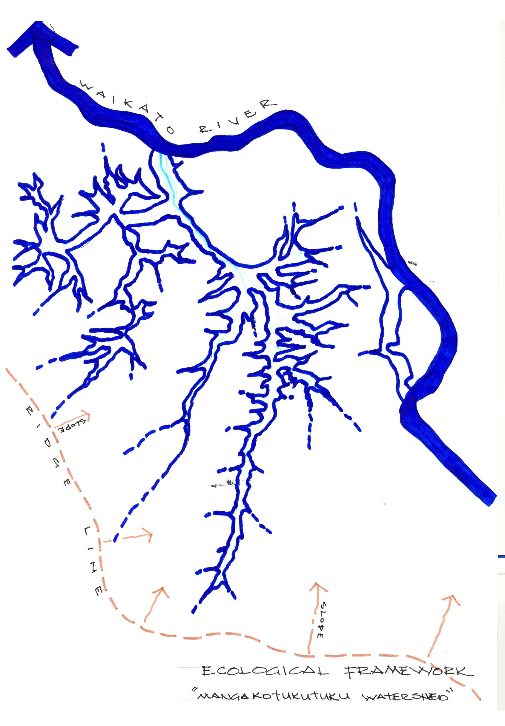Figure 5.9. The Ecological Framework. 