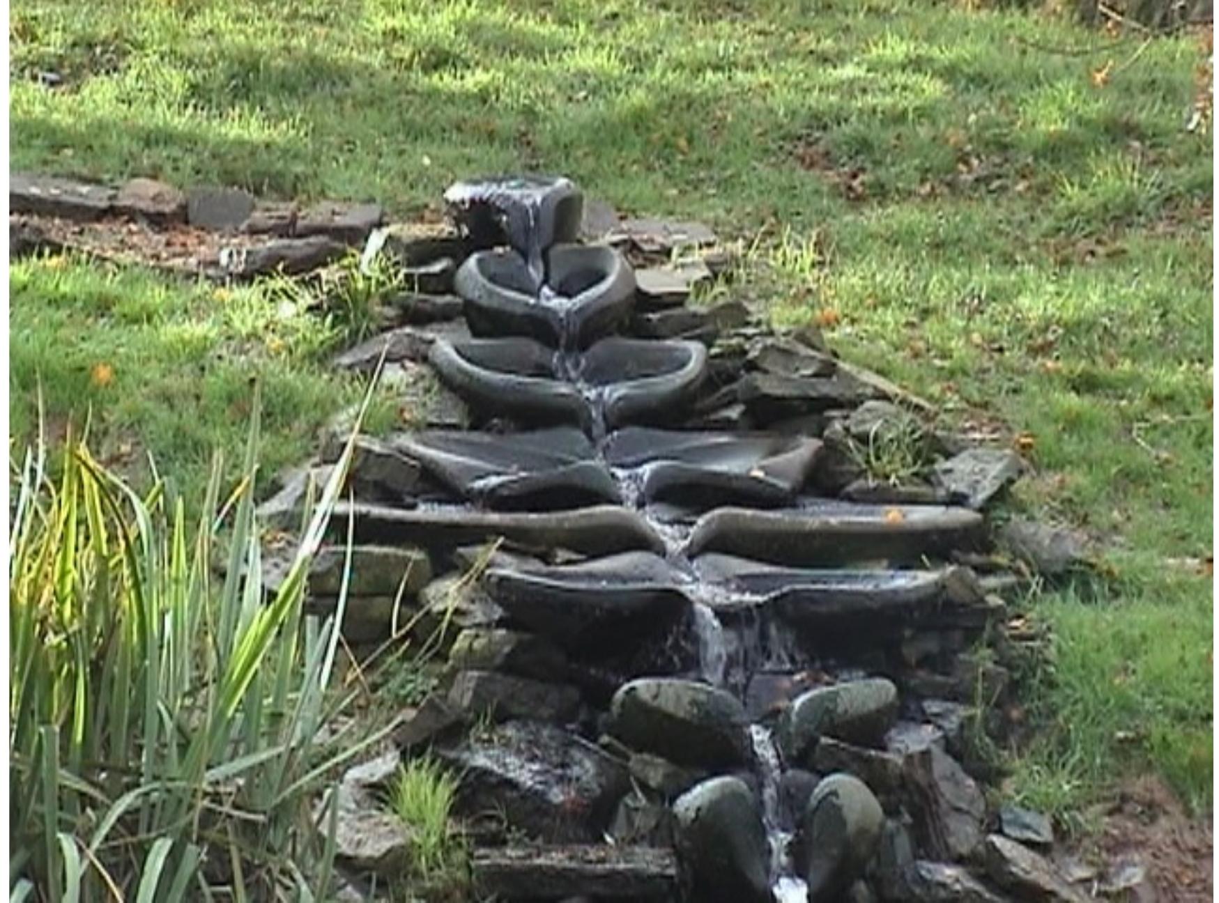 resonate a strength and vitality. When offered into the landscape of a suburb they bring many 