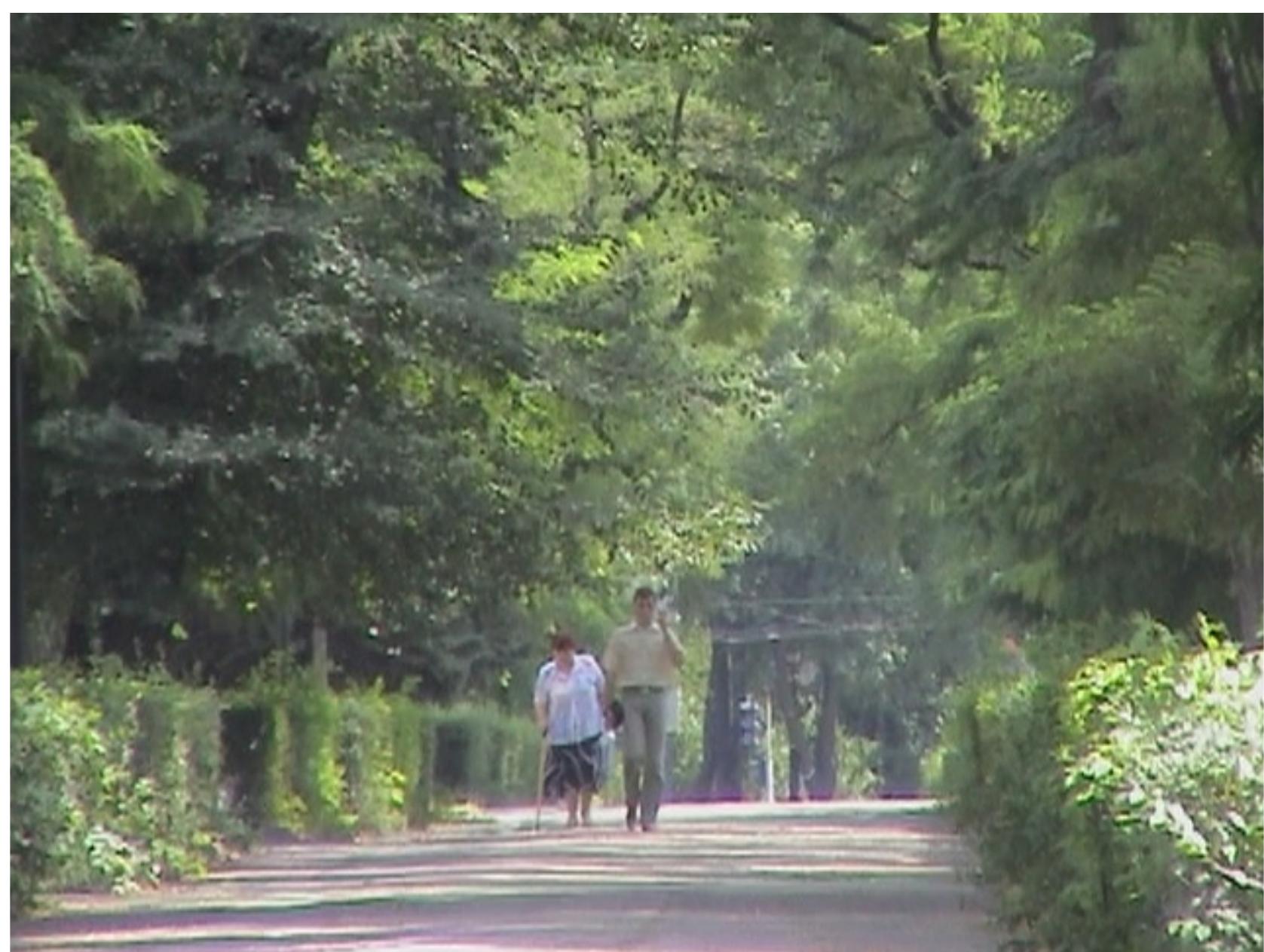diversity and vitality. (photo Steve Hart. 2010. Dnepropetrovsk, Ukraine.) 