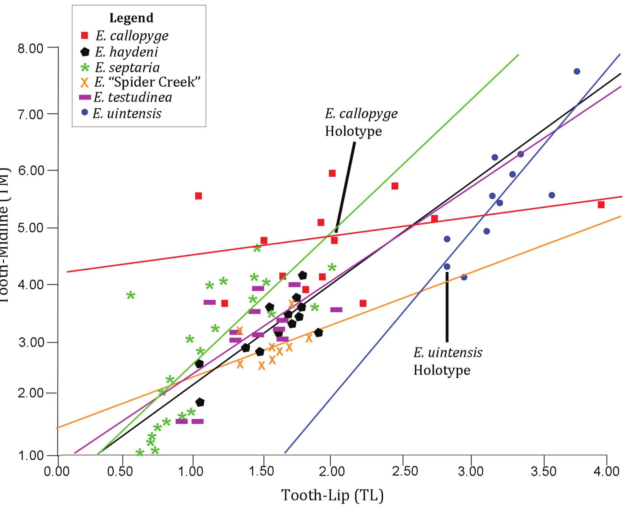 Figure 4. Plot of Tooth-Midline versus Tooth-Lip (TM/TL) values for each specimen. The correlation between these two variables is significant (R2=0.403). Correlation coefficients do not differ significantly between any pair of taxa. 