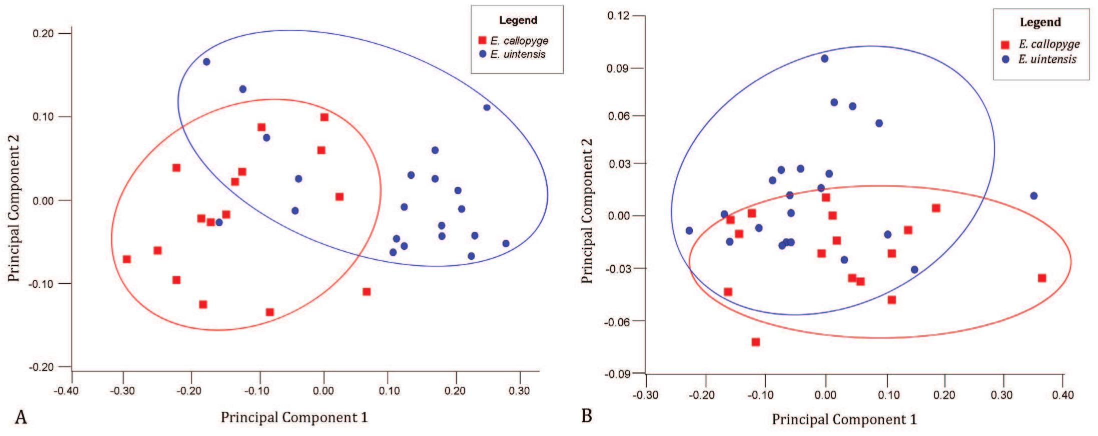 Figure 6. Principal components plots from geometric morphometric analyses of 3D epiplastral shape. A. Full epiplastron (dorsal and ventral surfaces) (PC1=69.4% variance, PC2=12.6%). B. Dorsal epiplastral shape (PC1=38.6%, PC2=27.0%). 