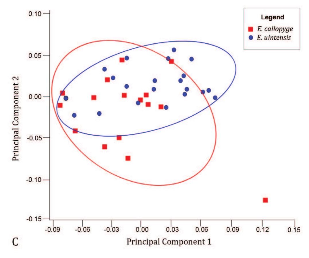 significant differences among taxa for PC1 (p<0.001) and PC3 (p<0.001). Tukey pairwise tests found signifi- cant differences between most pairs of taxa in PC1. For dorsal 2D morphology, the ANOVA revealed significan interspecific differences for PCs 1 through 3 (p<0.001 in all cases). Tukey post hoc tests indicated significan differences between many pairs of taxa for PC1. Most no- tably, E. callopyge + E. uintensis were again revealed to be significantly different (p<0.001), as were E. haydeni and E.   Figure 6 (cont.). Principal components plots from geometric morphometric analyses of 3D epiplastral shape. C. Ventral epiplastral shape (PC1=38.6%, PC2=27.0%). Significant dif- ferences were revealed in 3D shape of the epiplastron for all  three comparisons: Full epiplastron (p<0.001), dorsal surface (p=0.011), and ventral surface (p=0.012). 
