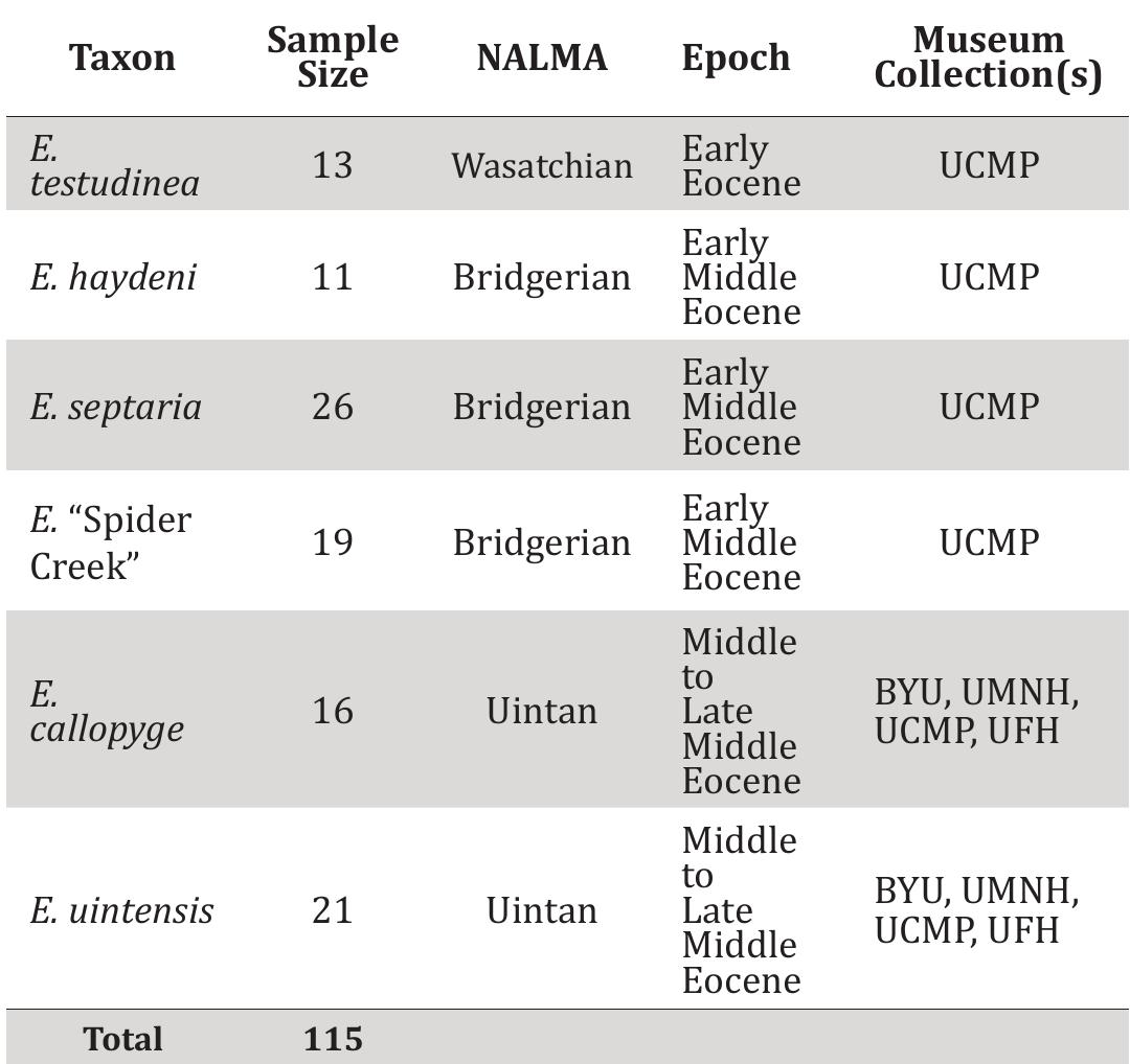 Table 1. Echmatemys taxa included in the present study, including sample sizes, temporal context, and museum collections. Abbrevia- tions: NALMA=North American Land Mammal Age, see Materials and Methods for institutional abbreviations. 