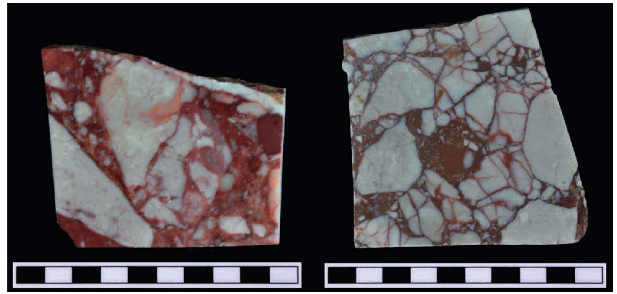 Forward. Numero 39 - 2025 Prevenzione by Il Pensiero Scientifico Editore -  Issuu, image size:2092x998