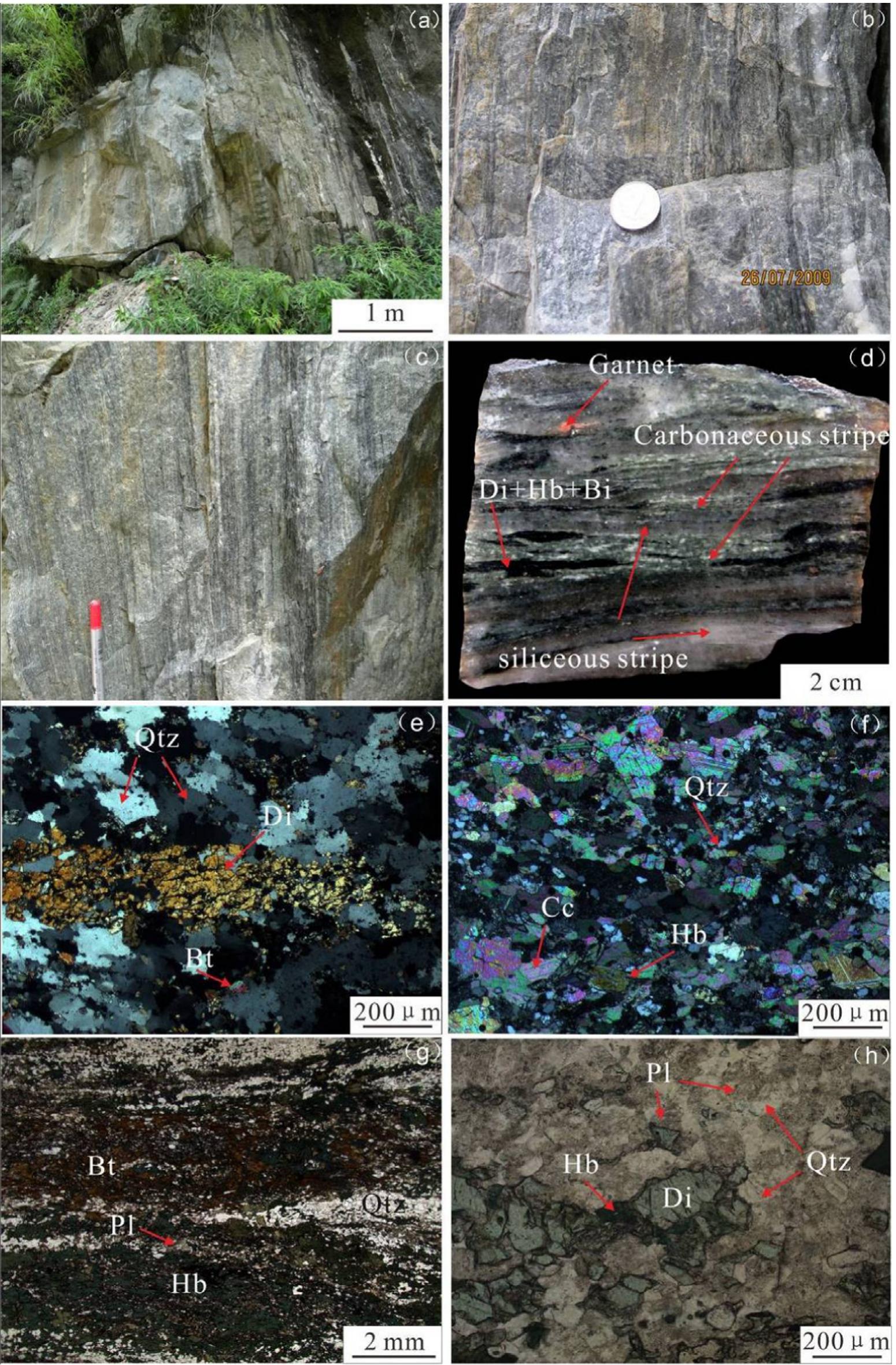 Calcsilicates Field and microscopic photos of the mylonitic