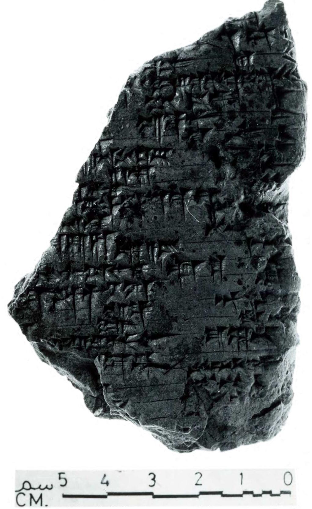 Fig. 2: IM 124581 shortly after the excavation 