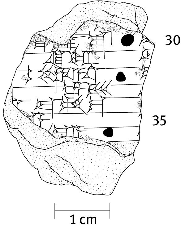 Collations of previously published manuscripts 