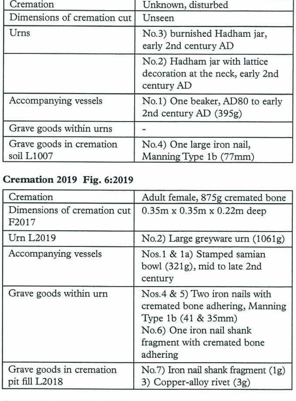 Disturbed Cremation(s) 1007 Fig. 6:1007 