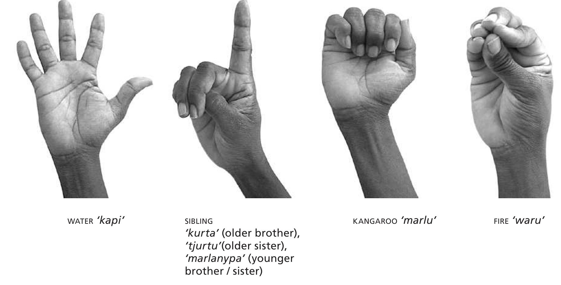 Figure 5a: Some common handshapes found in the Western Desert sign corpus  Kendon (1988:121-5, Appendix I) provided a detailed inventory of the handshapes used and their frequencies in the sign languages of the NCD. In order to provide some preliminary comparisons, we draw on data from seven sets of film recordings  of Western Desert sign languages (Ellis and Carew 2012; Ellis et al. 2012-16; Parlette 1972b), which  With the exception of some very young sign  Sign Language fro (Sandler et al. 20  patterning, akin to  for American Sign  anguages of the world, such as Al-Sayyid Bedouin  m the Negev region of Israel 1), the majority of deaf sign  anguages have a level of meaningless yet contrastive  phonology in spoken languages.  This patterning was first described by Stokoe (1960)  Language. Stokoe (1960:30, 33)  coined the term ‘cherology’, from the Greek cher-,  ‘handy’, to discuss t  he contrastive system of features  in American Sign Language. His term was not widely adopted, however, and linguists now typically refer to ‘sign language phonology’. 