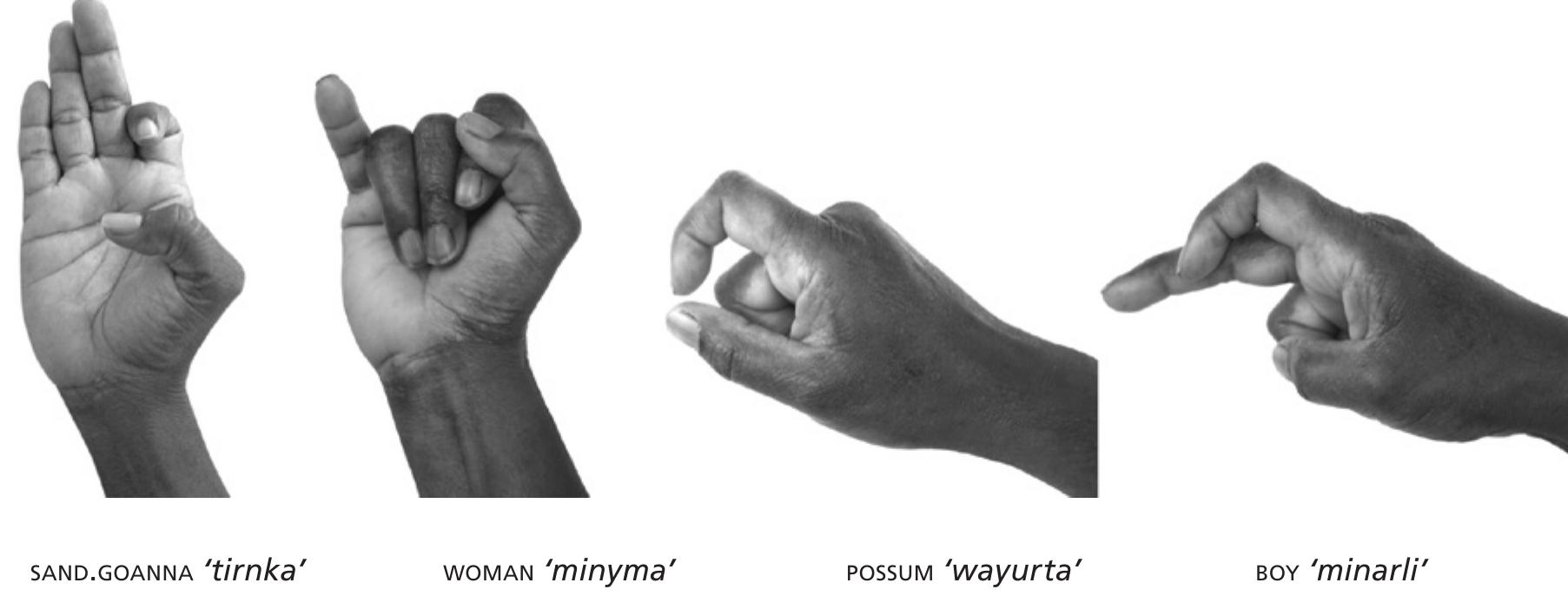 Figure 5b: Some infrequent handshapes found in the Western Desert sign corpus 