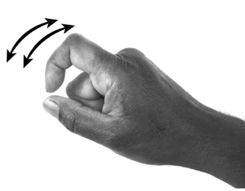 Figure 10: Ngaanyatjarra sign BUSH.TURKEY ‘nganurti’  Figure 8: Ngaanyatjarra sign knire ‘kanti’ 
