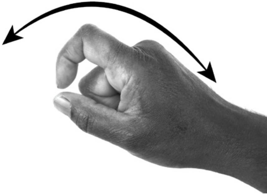 Figure 11: Ngaanyatjarra sign camet ‘kamurlpa’ 