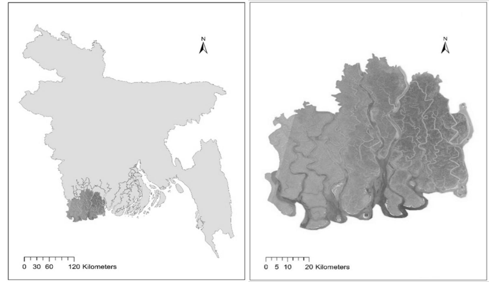 (PDF) ASSESSING THE IMPACT OF CYCLONE SIDR AND AILA ON THE BANGLADESH ...