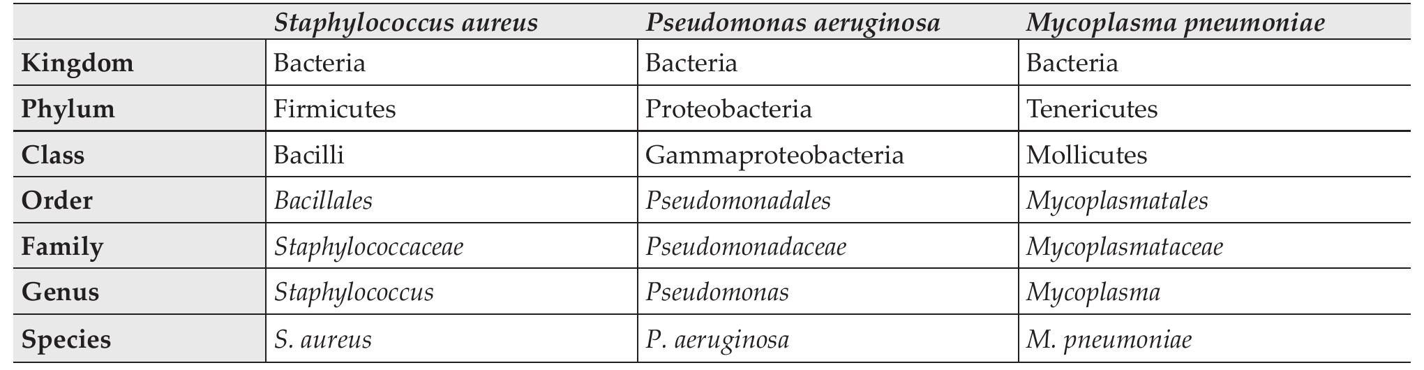 I example of taxonomic classification for a common