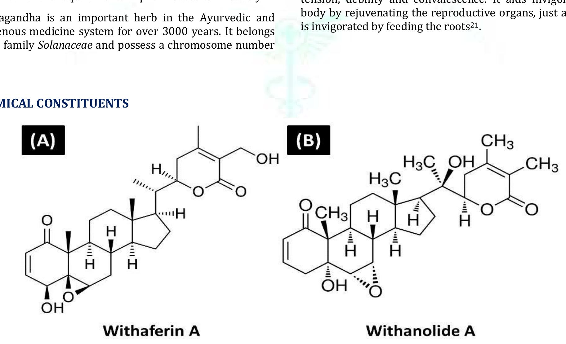 Figure 1 - from Antibacterial and Antifungal Activity of