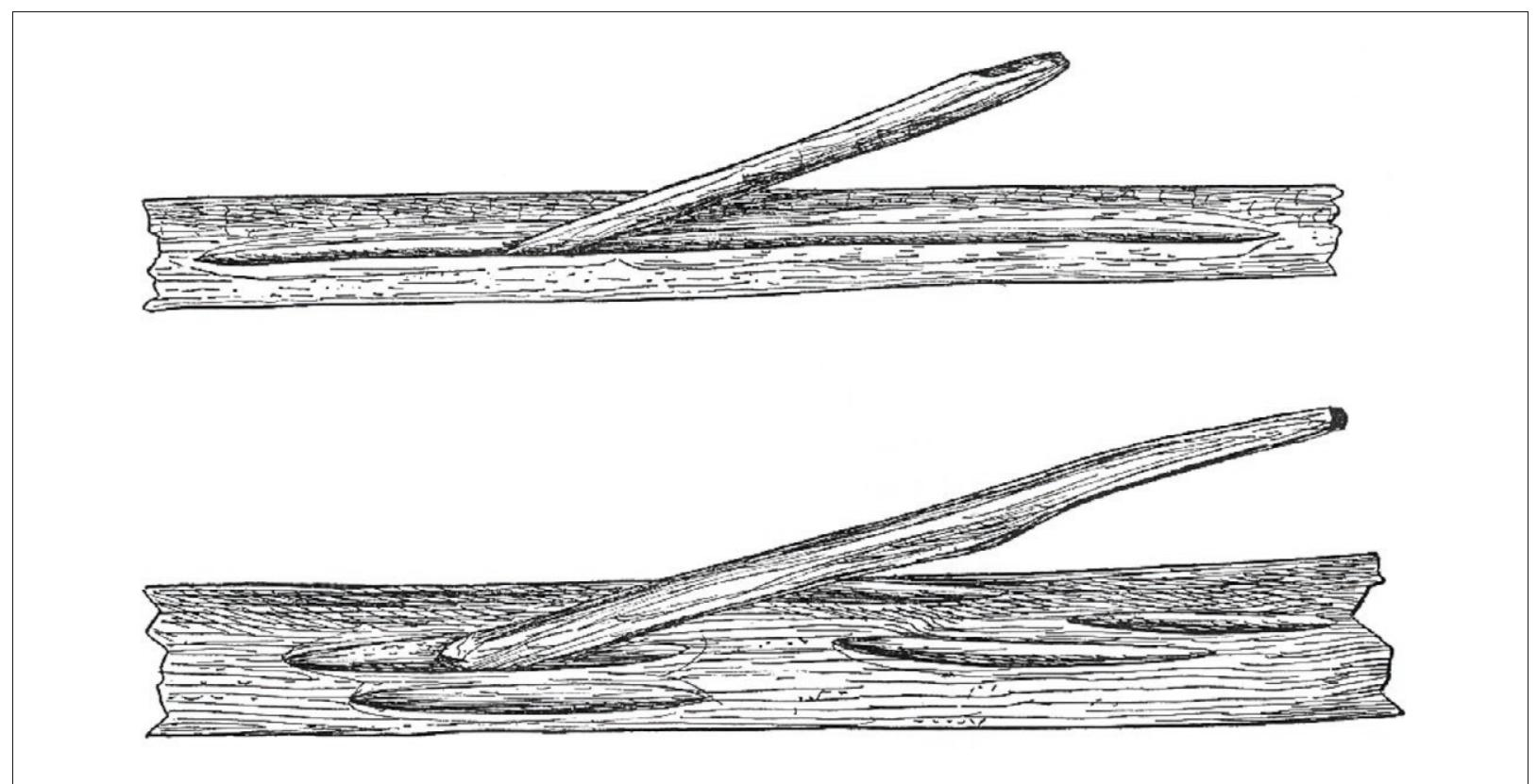 Fire Roll (PDF) The Uncertain Origins of Fire-Making by Humans: The State of the ...