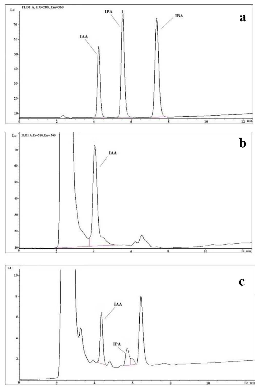 Hplc chromatograms of the ultrasonicated samples for 30