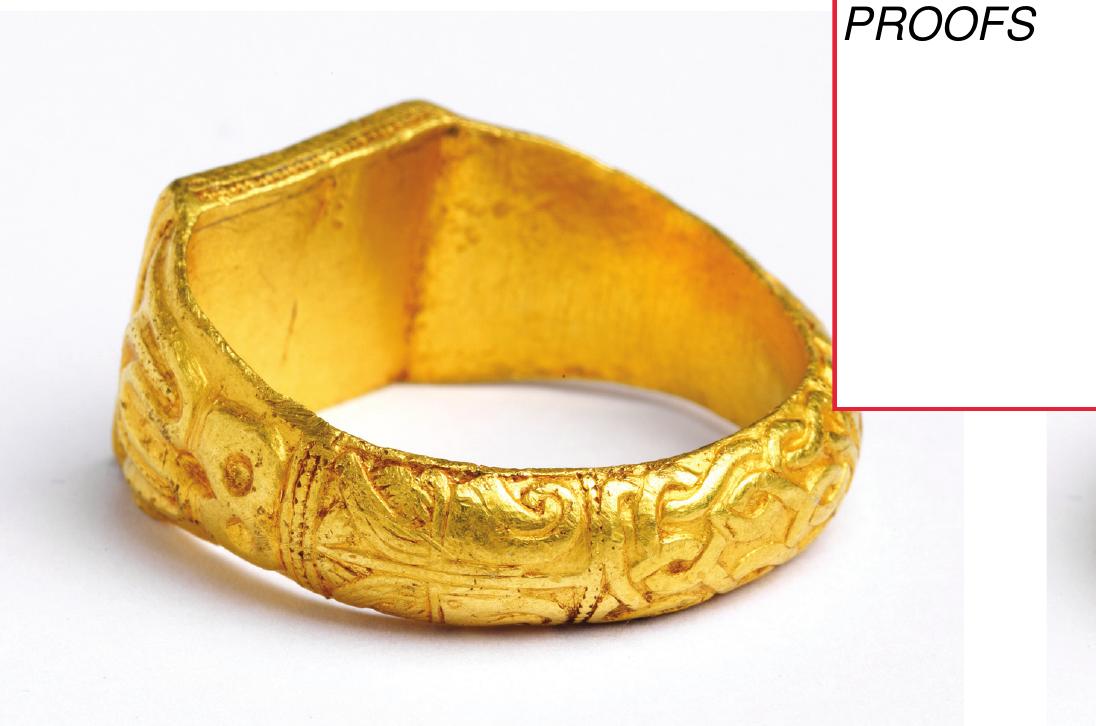 Figure 3. The pair of Style II raptors located on the hoop (below the bezel) of the northwest Essex ring. (Courtesy of Saffron Walden Museum.) 