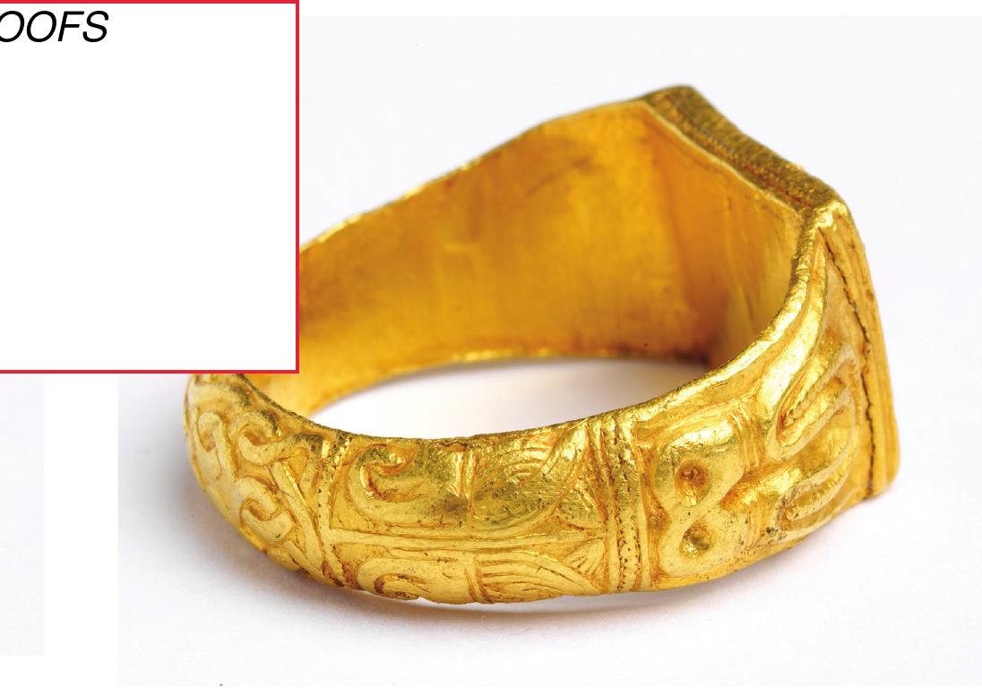 Figure 4. The pair of Style II raptors located on the hoop (above the bezel) of the northwest Essex ring. (Courtesy of Saffron Walden Museum.) 