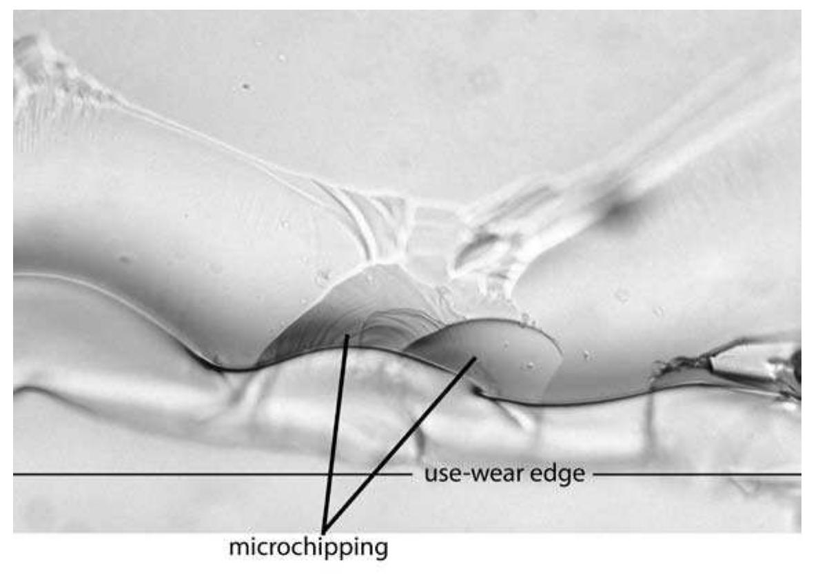 Figure 5.4. Type of use-wear damage created along the flake edge of heat treated ob- sidian used to saw bone. 