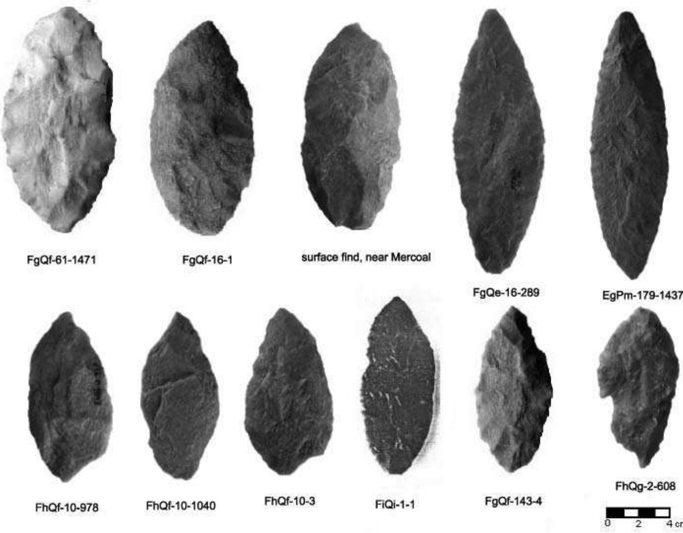 Figure 6.1. Examples of Embarras Bipoints found along the eastern slopes of Alberta (figure from Meyer 2003). 
